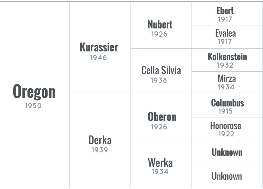 Oregon pedigree ADHHA database