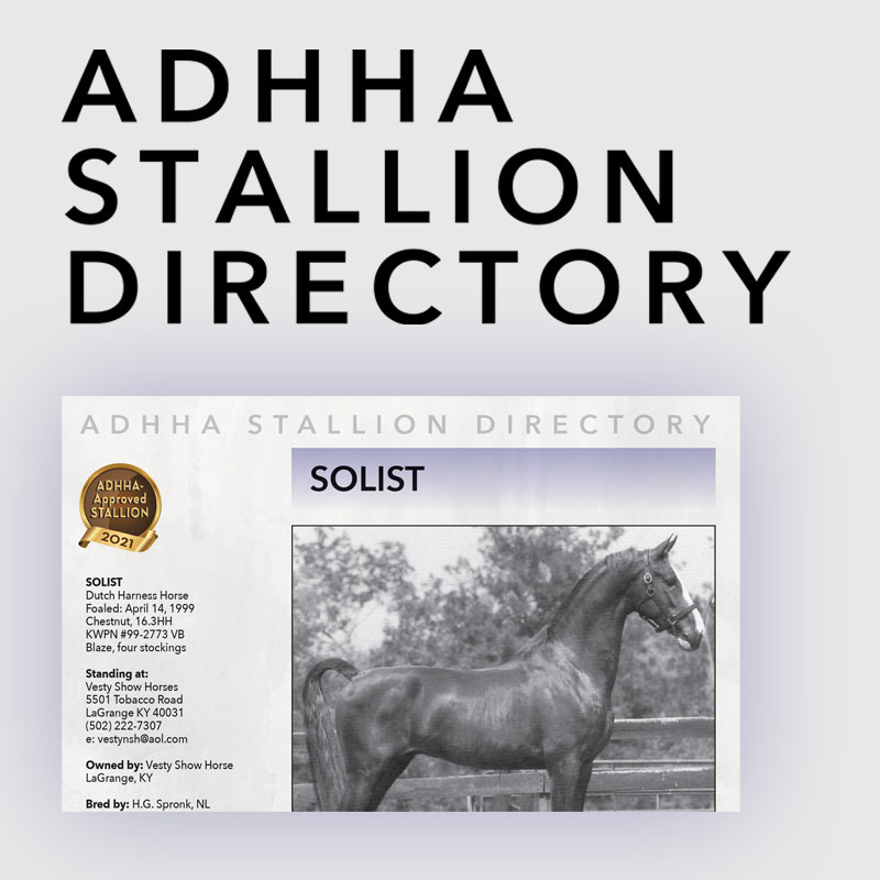 ADHHA Stallion Directory