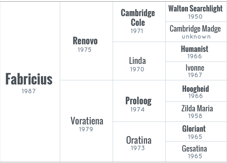 fabricius-pedigree-adhha